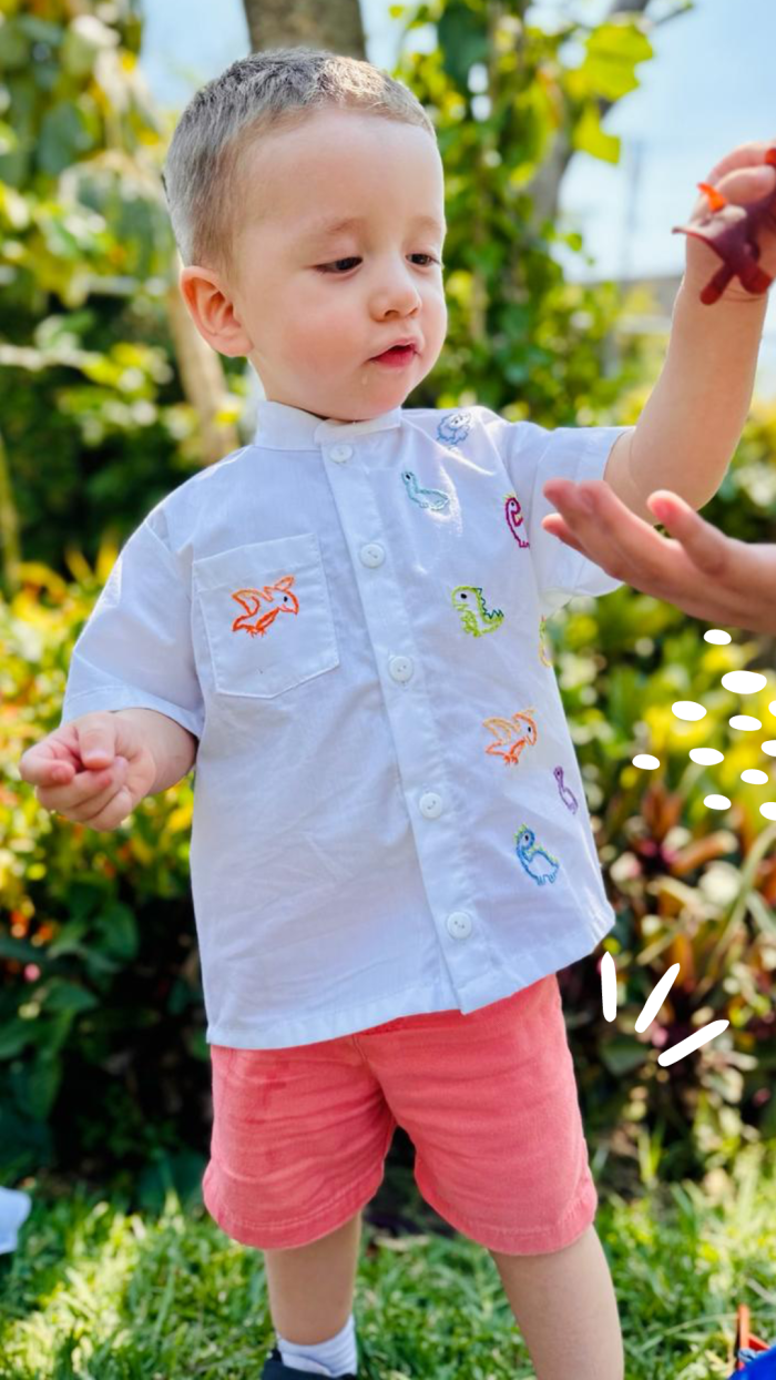 Camisa Dino infantil